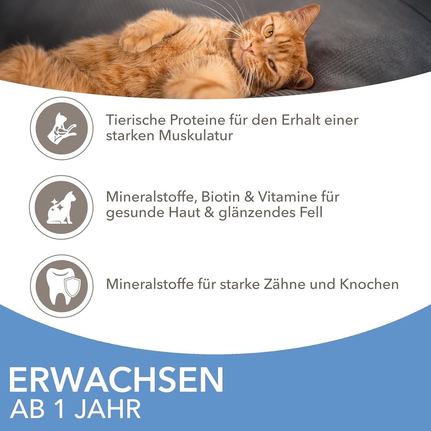 IAMS Delights Sea Collection Katzenfutter Nass - Multipack mit Fisch Sorten (Lachs, Thunfisch, Makrel, Seefisch) i Sauce, Nassfutter für Katzen fra 1 Jahr, 12 x 85g