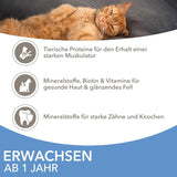 IAMS Delights Sea Collection Katzenfutter Nass - Multipack mit Fisch Sorten (Lachs, Thunfisch, Makrel, Seefisch) i Sauce, Nassfutter für Katzen fra 1 Jahr, 12 x 85g