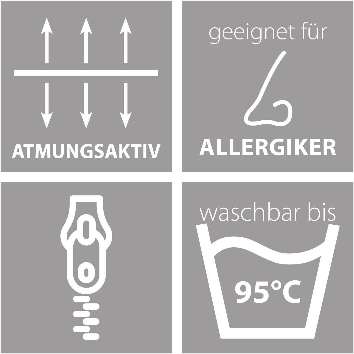 Traumnacht Komfortabel roulettepude, Sæt med 4 puder, Med quiltet betræk og skumfyld, 40 X 40 cm, Øko-Tex certificeret, Lavet efter den tyske kvalitetsstandard Naty Shop standardpuder