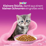 Whiskas Junior Classic Selection våd kattefoder i sauce, 48 poser, 12 x 85 g (pakke med 4) - Højkvalitets vådfoder til katte i vækst, 2 til 12 måneder