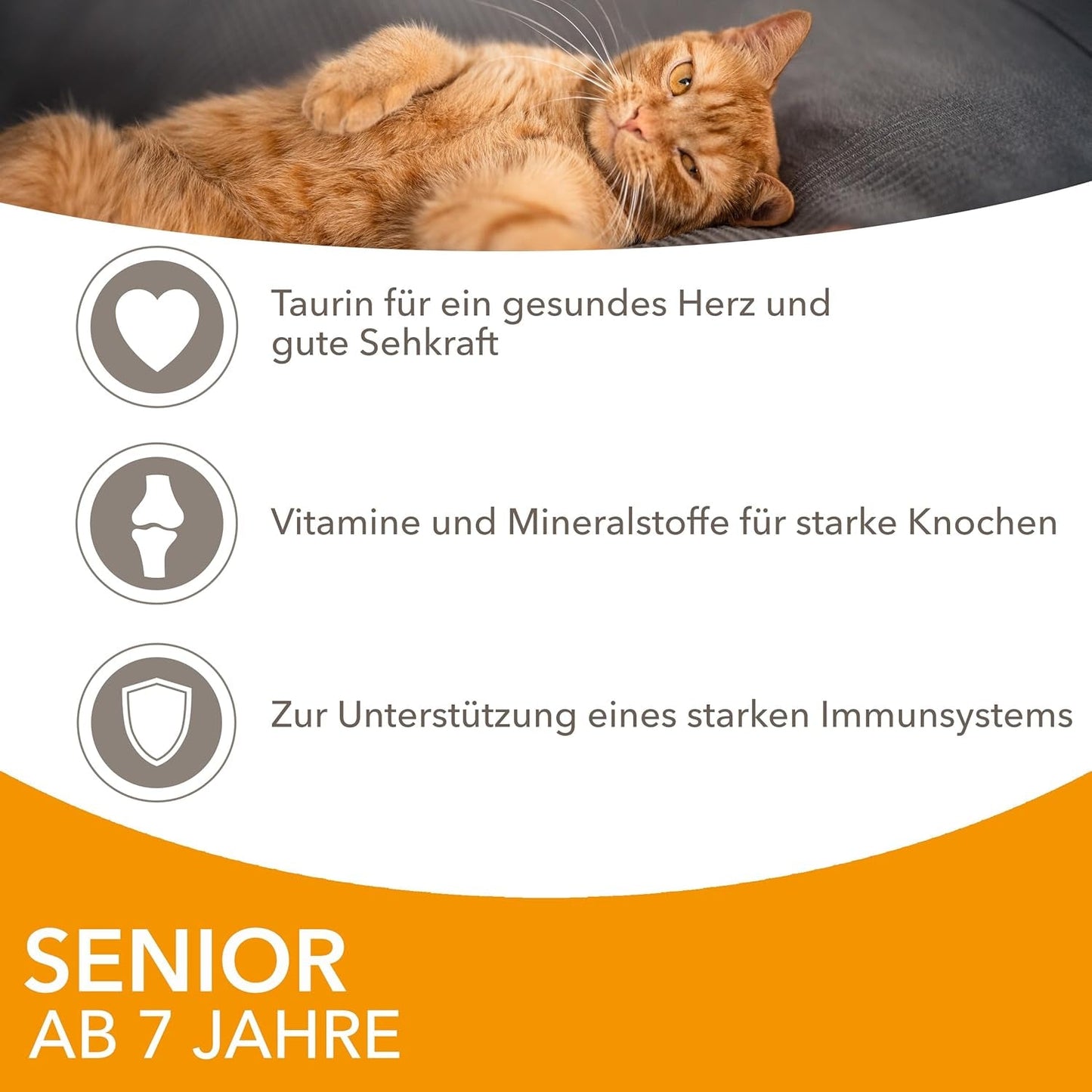 IAMS Delights våd kattefoder med kylling i sauce til seniorkatte på 7 år og derover - Prøvestørrelse, individuel pose, 1 x 85 g