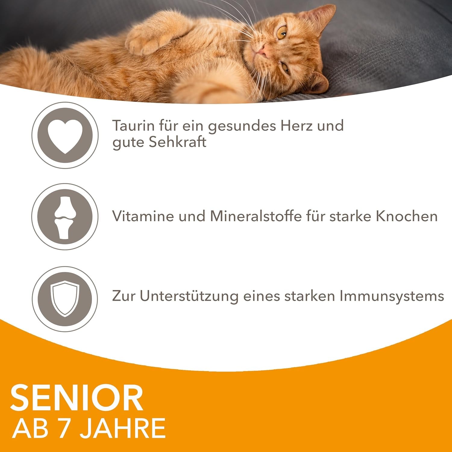 IAMS Delights våd kattefoder med kylling i sauce til seniorkatte på 7 år og derover - Prøvestørrelse, individuel pose, 1 x 85 g