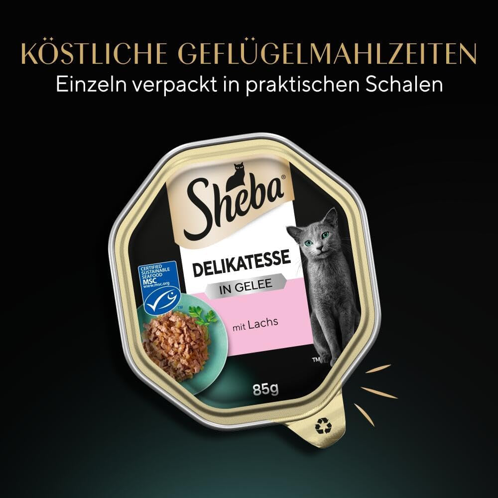 Sheba våd kattefoder, delikatesse i laksegele, 2 x 11 x 85g