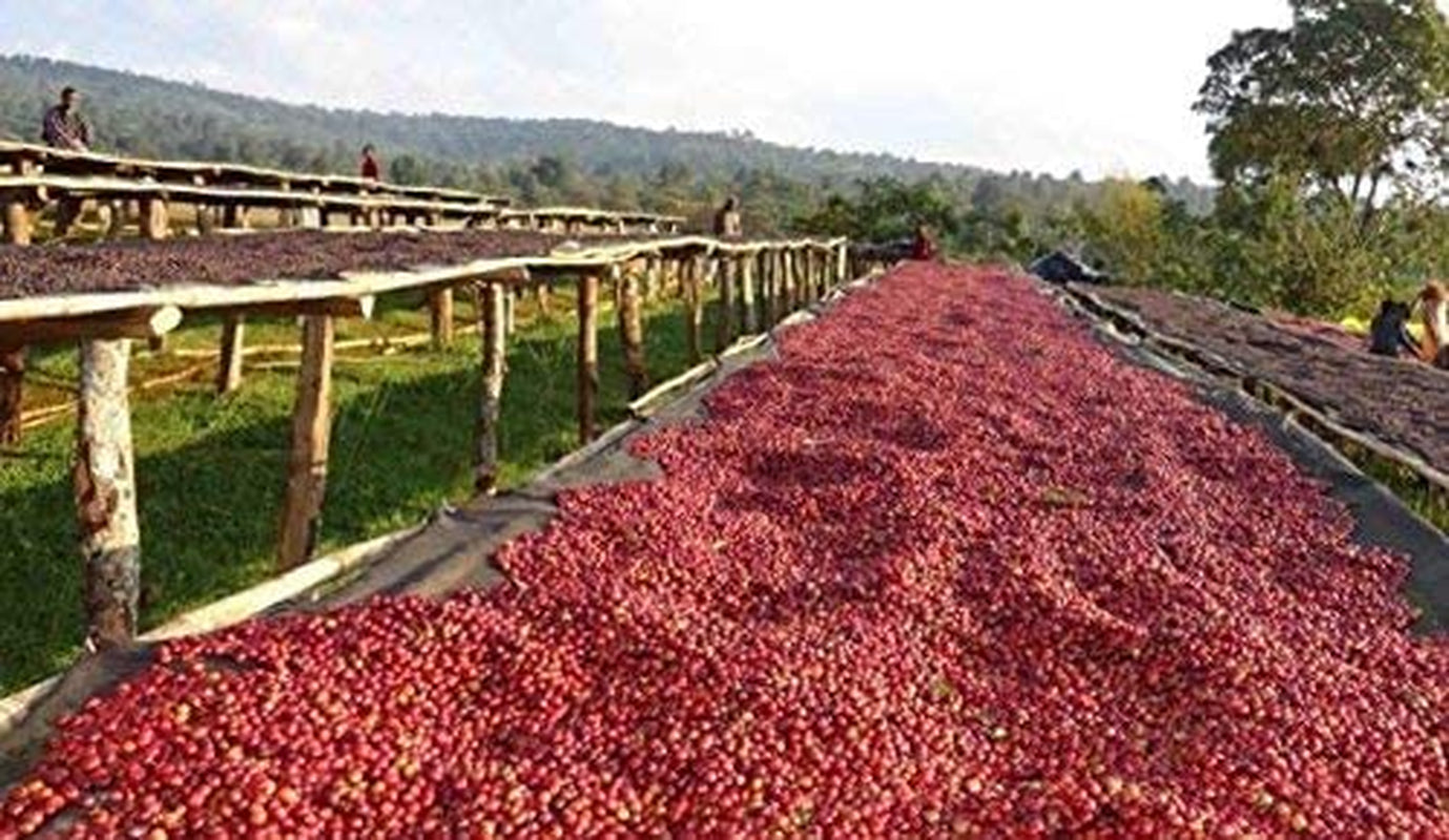 Koffeinfri kaffebønner 1 kg naturlig 100% - Espresso Intens smag fra Colombia og Brasilien.