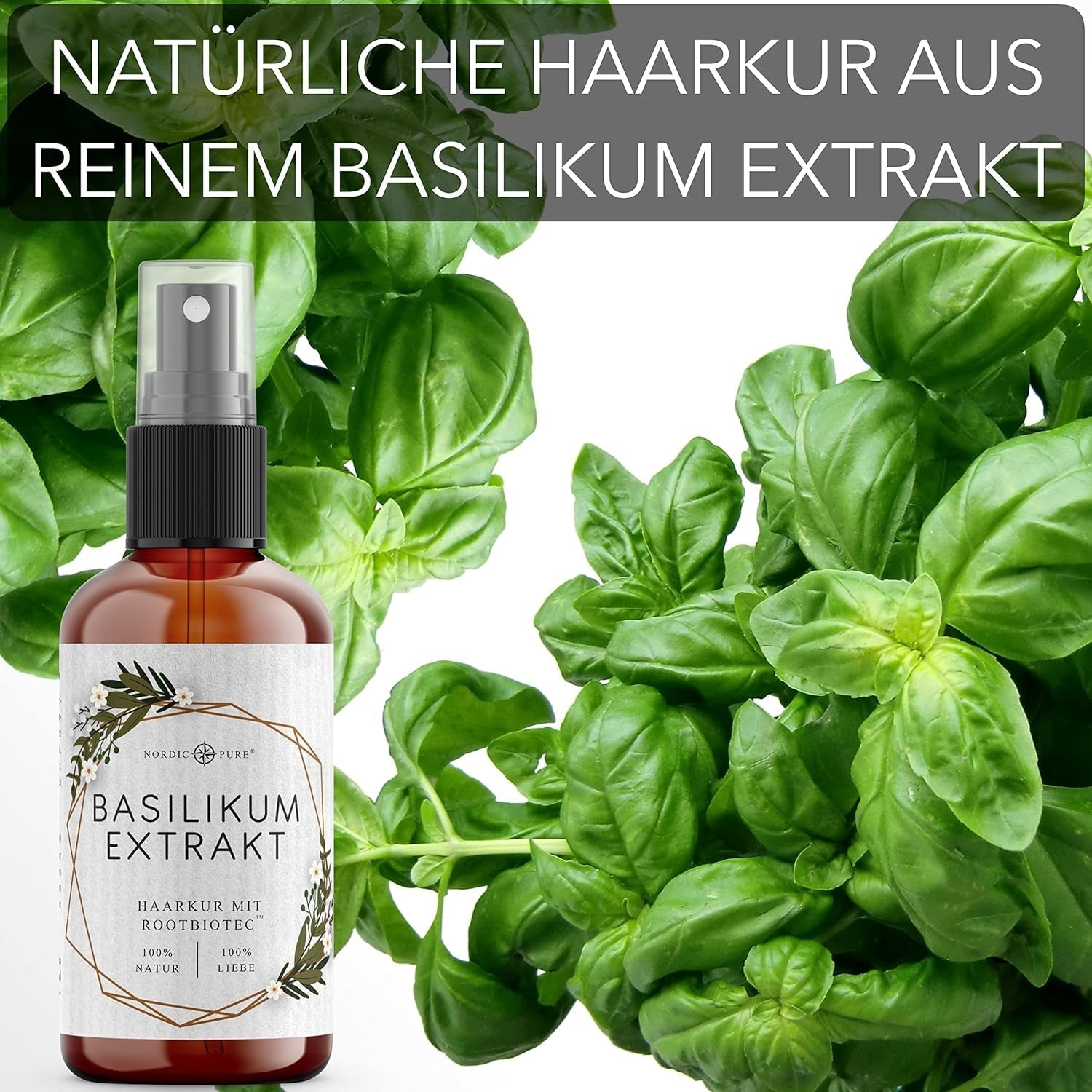 Hårkur med basilikumekstrakt fra Nordic Pure | Til pleje af tyndt, tørt og skrøbeligt hår | Kan forhindre hårtab 100ml Naty Shop hårpleje