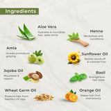 Indus Valley Natural Damage Free Gel Hårfarve | Ammoniakfri, vegansk og grusomhedsfri | Op til 100 % grå dækning, langtidsholdbare resultater | Lys kastanje 5.0 (20 gram + 200 ml) Naty Shop hårfarve