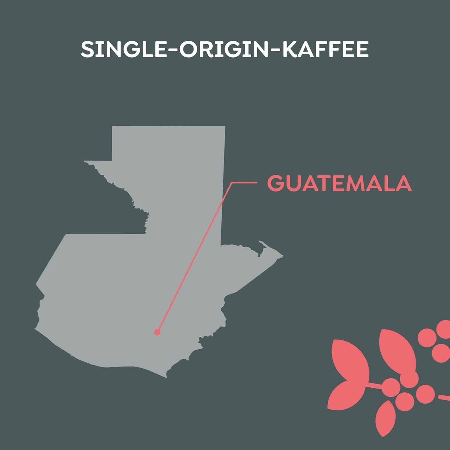 Melitta Manufaktur-Kaffee Guatemala Honning, Spezialitäten, 250g, Ganze Bohnen, Ungemahlen, Single-Origin, Sanfte Trommelröstung, Geröstet i Tyskland, Stärke 3