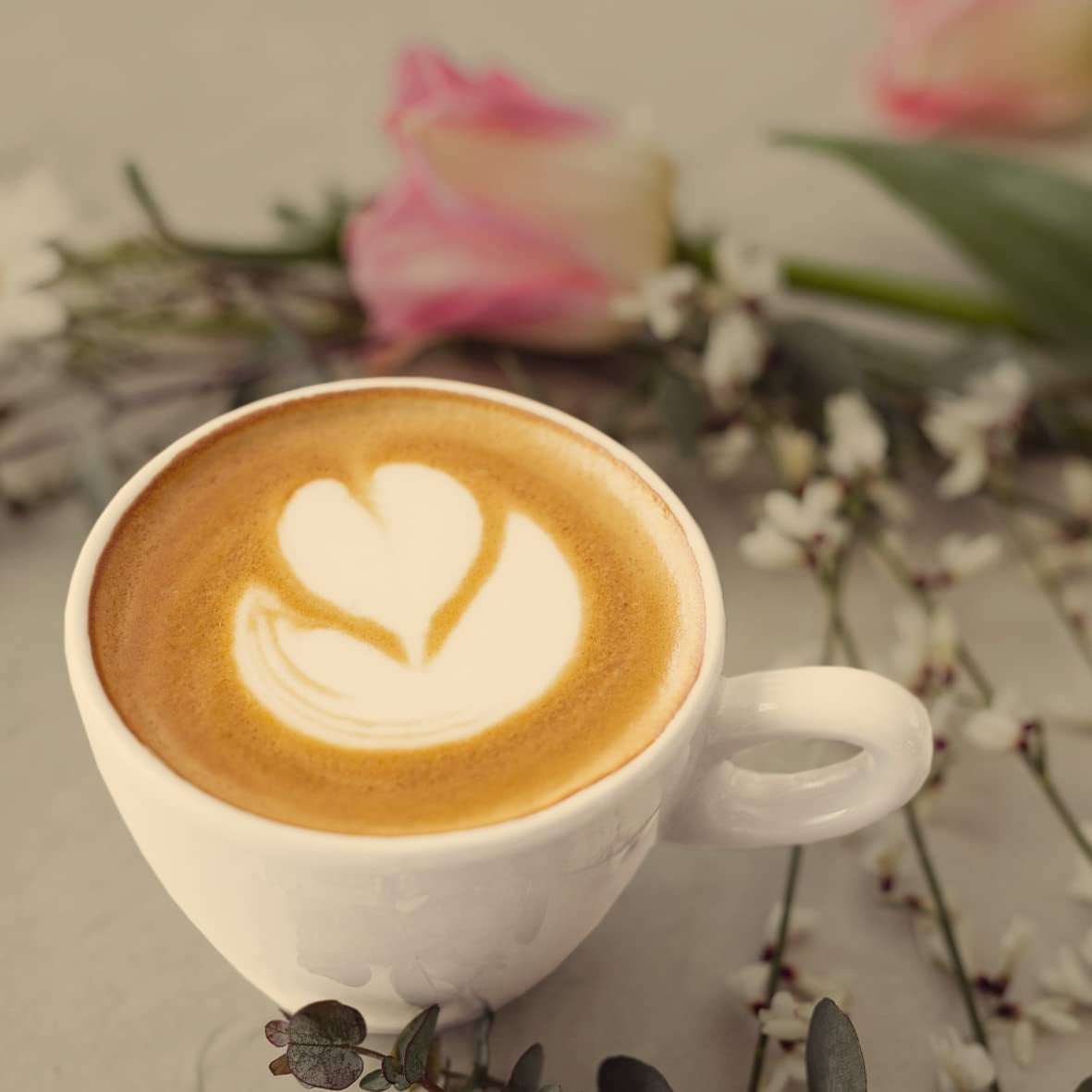 - Mokka 1000g | Strong coffee for Schümli and espresso from fully automatic machines | Helristede kaffebønner | Med 90% Arabica bønner