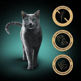SHEBA Nature's Collection i sovs - højkvalitets våd kattefoder, fine varianter (MSC) i portionsposer - 72 x 85 g
