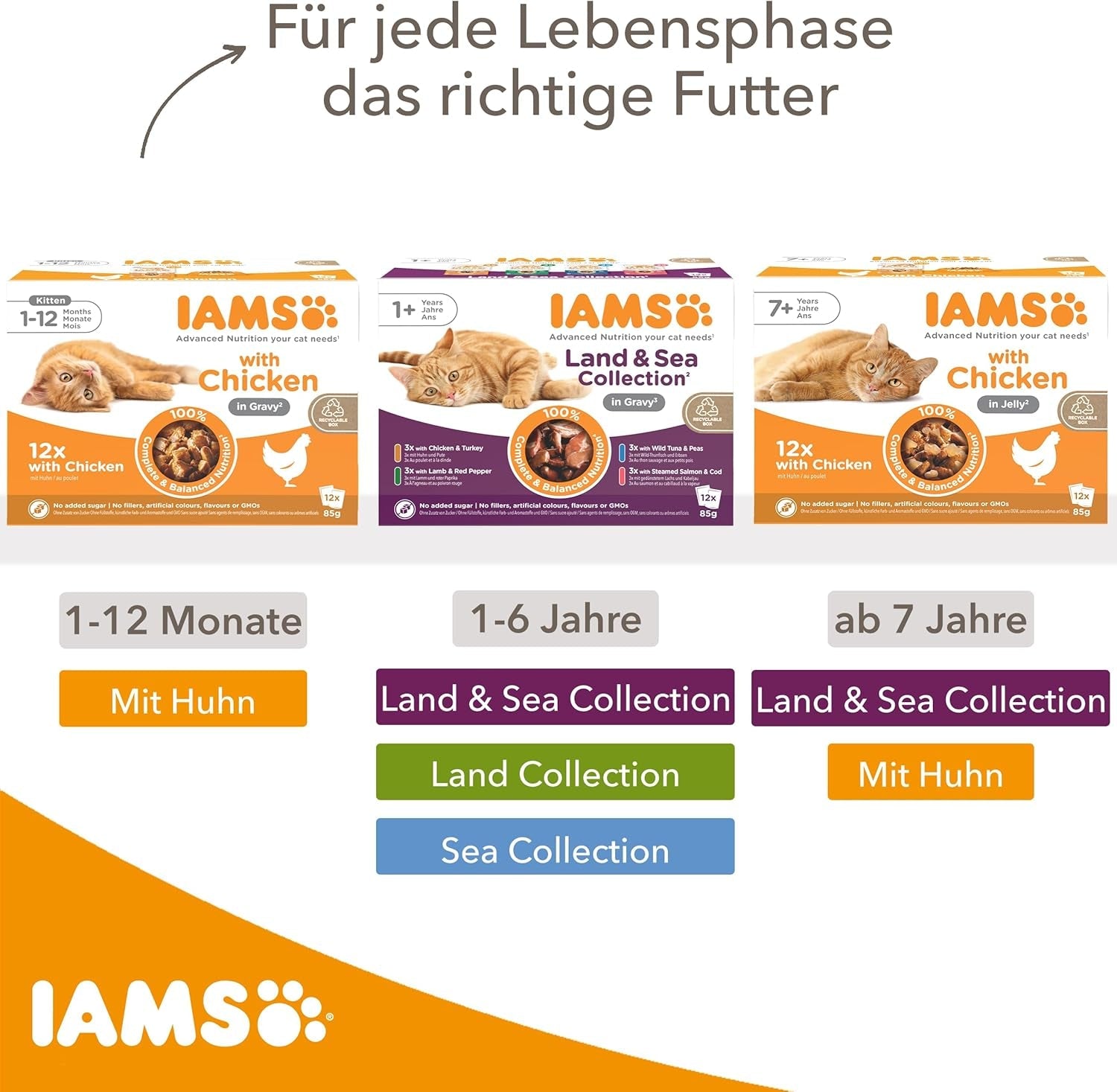 IAMS Delights Land & Sea Collection våd kattefoder - kød- og fiskesortiment Multipak i sauce, vådfoder til katte fra 1 år og derover, 12 x 85 g