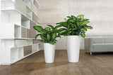Plantekasse LECHUZA Rondo Premium 32 mat hvid | Plantesøjle med vandingssystem, vandstandsindikator og planteindsats | Mat finish | Ø 32,5 x 56,5 cm | 15786