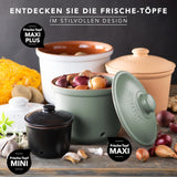 Römertopf Fresh Pot MINI 0,6 liter - Keramisk hvidløgsgryde - Åndbart ler holder grøntsager friske i længere tid - Ideel luftcirkulation - Hvide madkasser Naty Shop