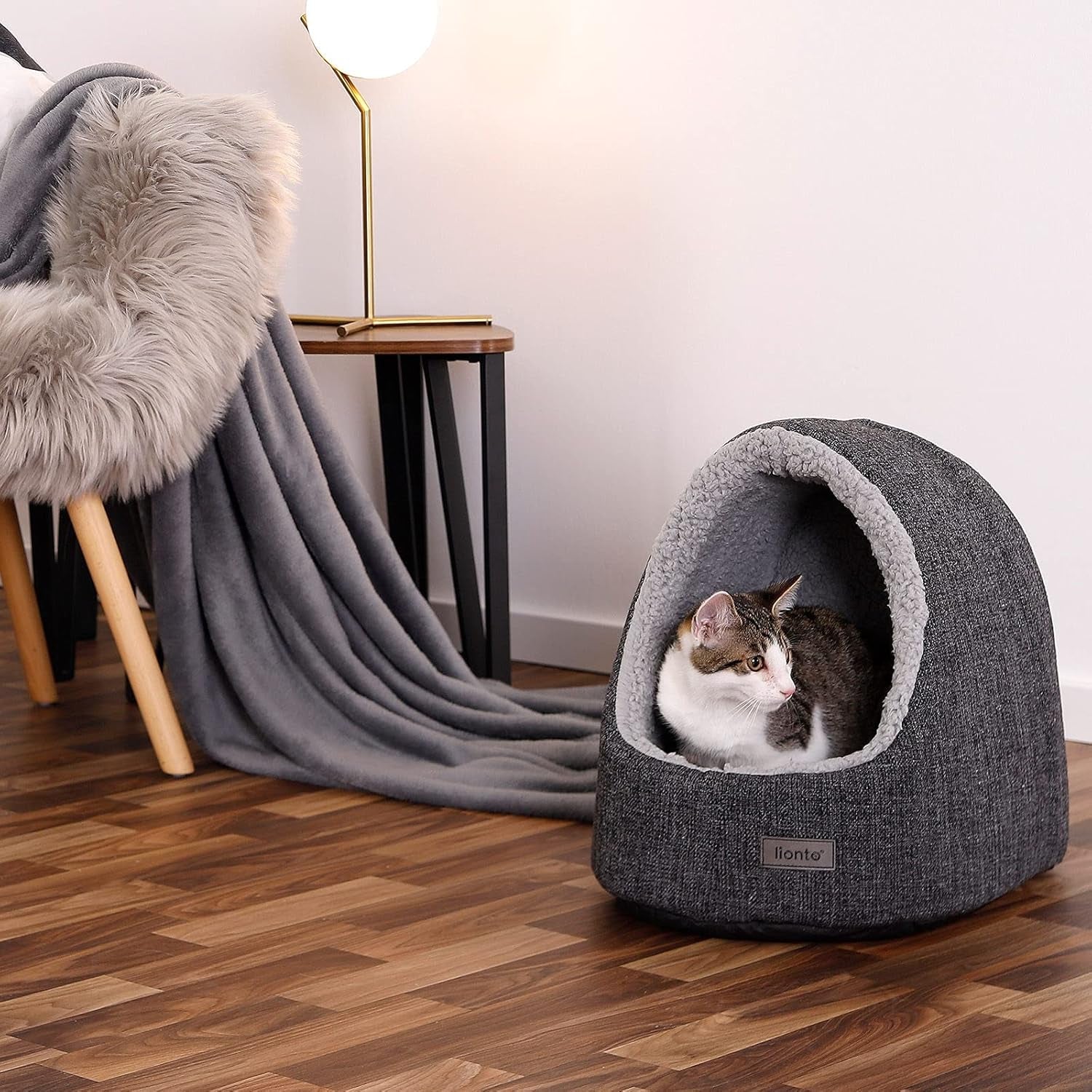 Tæpper og møbler, kæledyr, huler og huse, katte, senge til katte, katte - senge, madrasser