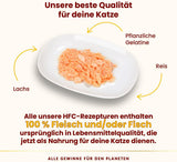 Almo Nature HFC Jelly - Nassfutter für ausgewachsene Katzen - Lachs - Human Grade, Glutenfri & Monoprotein - 6 x 70g