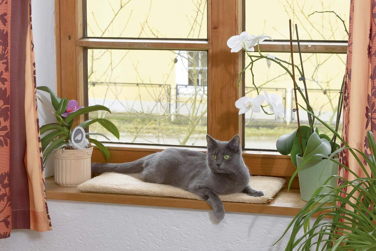 Tæpper og møbler, Kæledyr, Katte, Senge til katte, Kradsemåtter, Katte - senge, madrasser