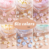 6 Box 3D Flower Nagelkunst Charms, Acryl Flower Nagel Strass Mit Gold Und Silberperlen Ornamenten, Nagel Edelsteine, Nagel Zubehör Für Mädchen, Frauen, DIY Nageldesign, Basteldekoration...