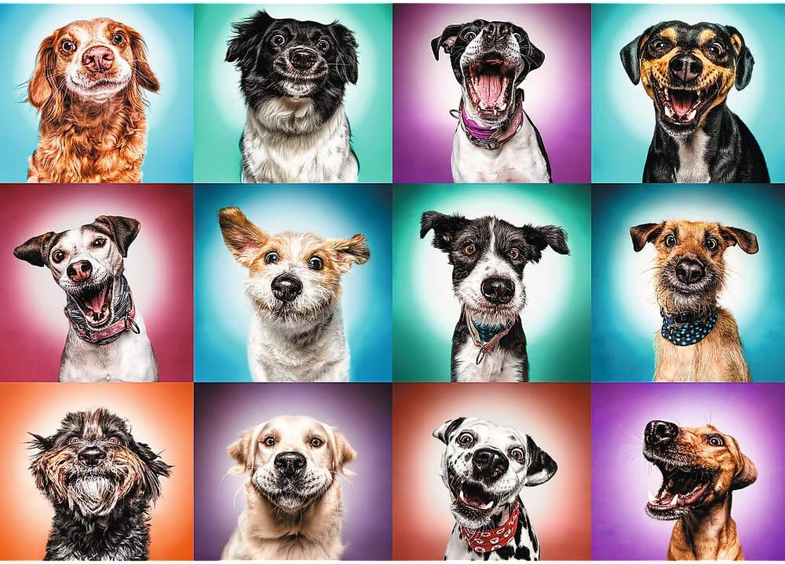 Trefl TR27119 Funny Dog Portraits II 2000 brikker, førsteklasses kvalitet, til voksne og børn fra 12 år Puslespil, farvet puslespil Naty Shop