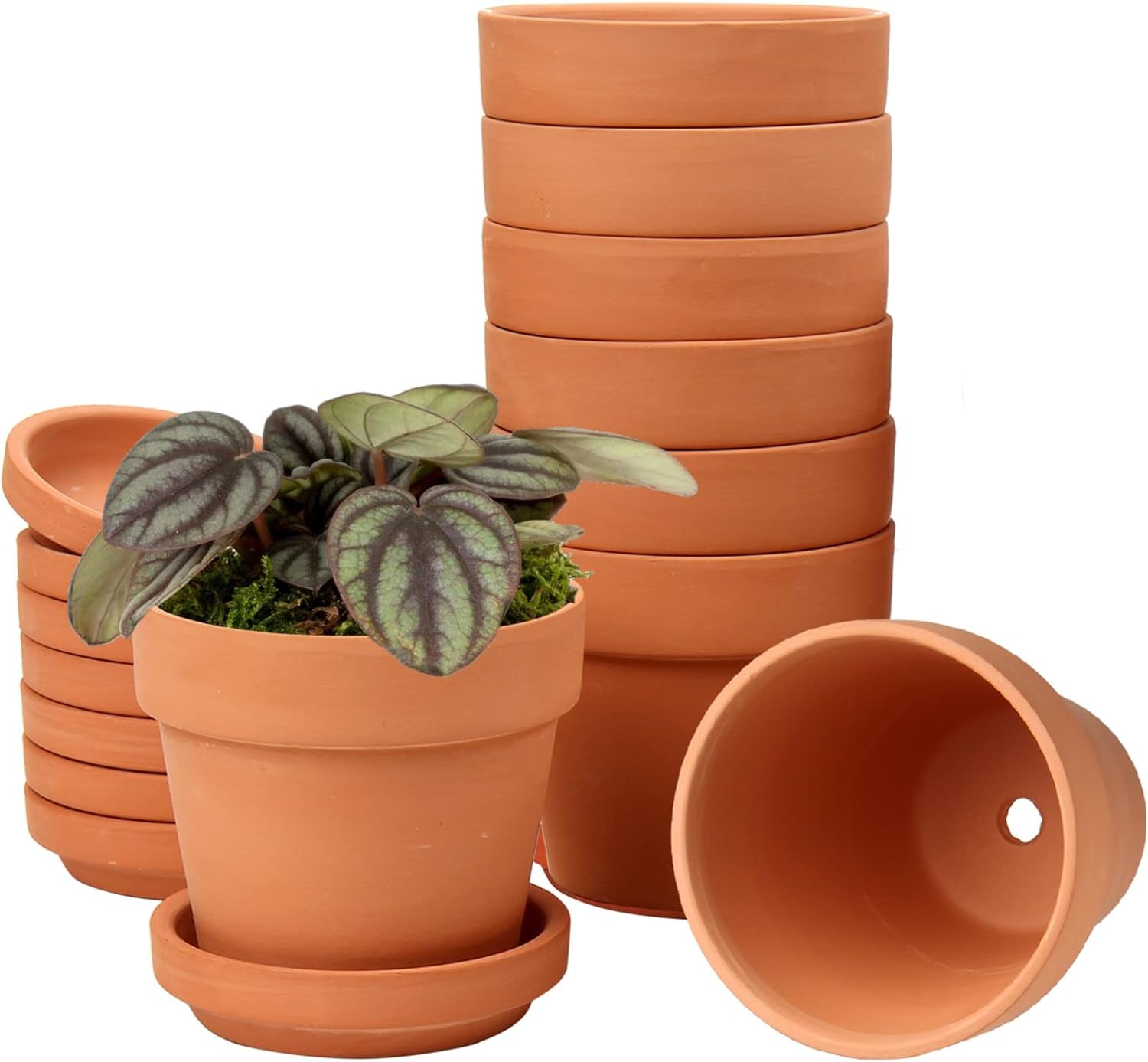 Hollyone 8-delt lille terrakotta-plantekassesæt, 8x8 cm runde lerpotter med tallerken og drænhul, små plantekasser med bakke, terrakotta-sukkulentpotter til indendørs planter, keramiske plantekasser