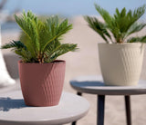Sæt med 5 brune potter, diameter 16 cm - Robuste plastpotter - Dekorativ plantekasse med dræningsmulighed - Elegant potte til indendørs og udendørs brug