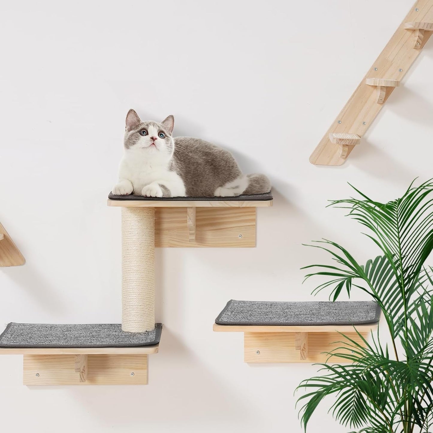 Tæpper & møbler, kæledyr, katte, kattesenge, katte - senge, madrasser