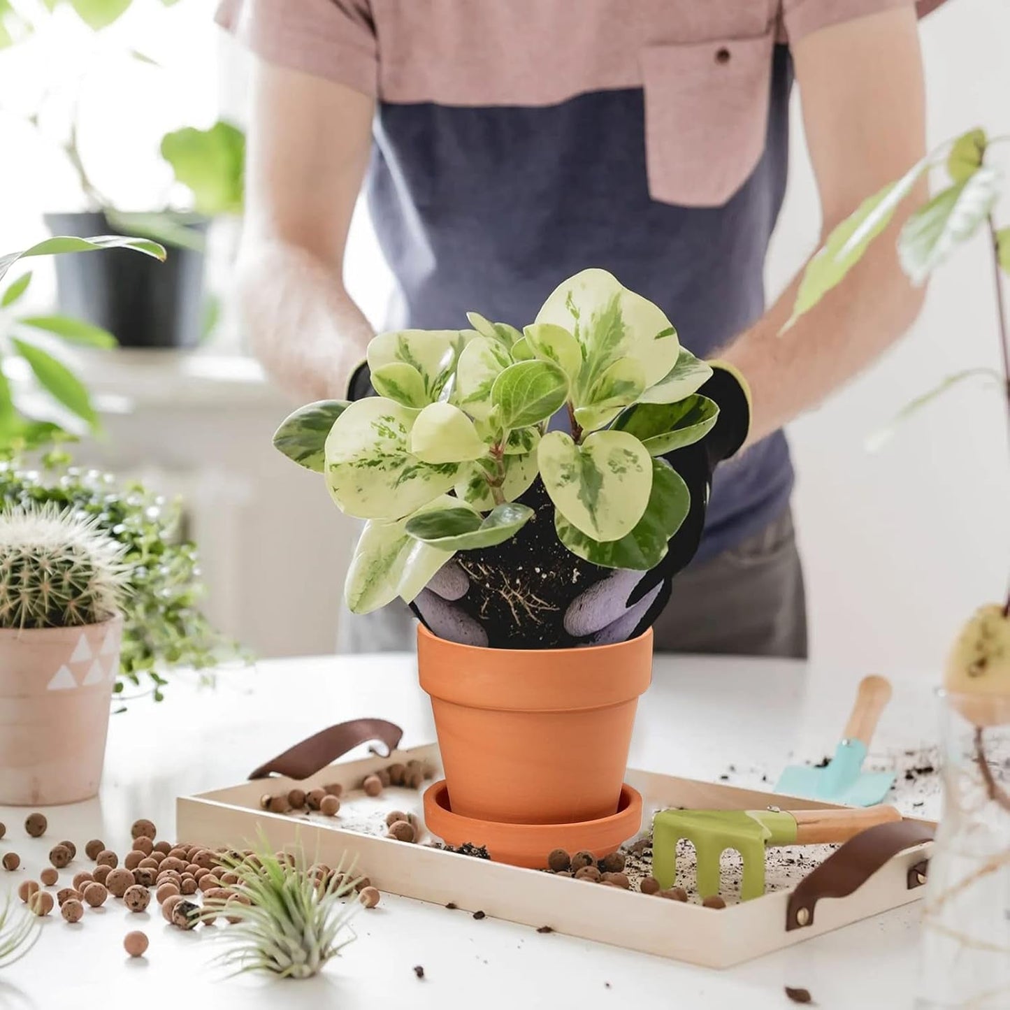 Hollyone 8-delt lille terrakotta-plantekassesæt, 8x8 cm runde lerpotter med tallerken og drænhul, små plantekasser med bakke, terrakotta-sukkulentpotter til indendørs planter, keramiske plantekasser