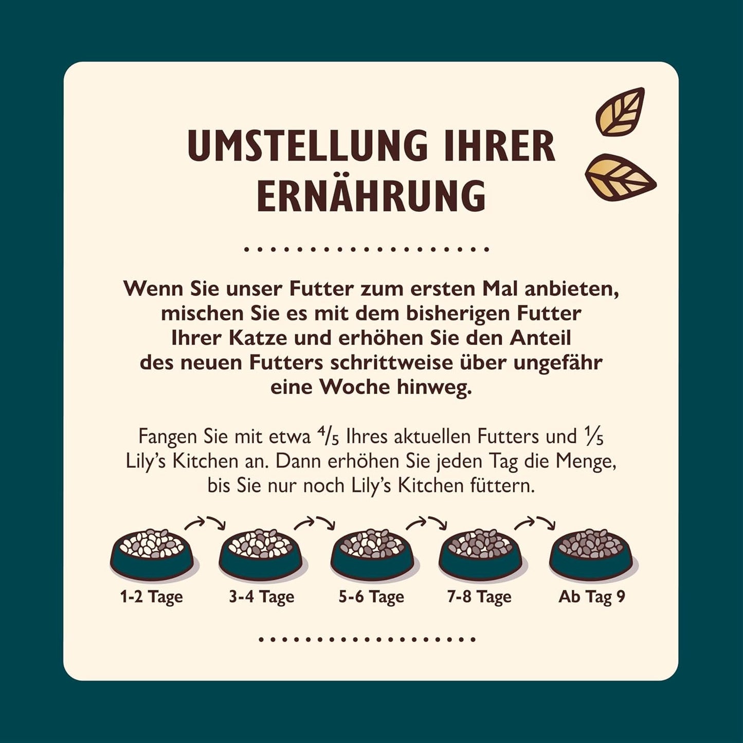 Lily's Kitchen Aus Naturichen Ingrediens hermestellung Zerkleinerte Filet in Gelee mit Hühnchen und Lachs Ausgewachsen Nassfutter für Katzen 70 g Dose