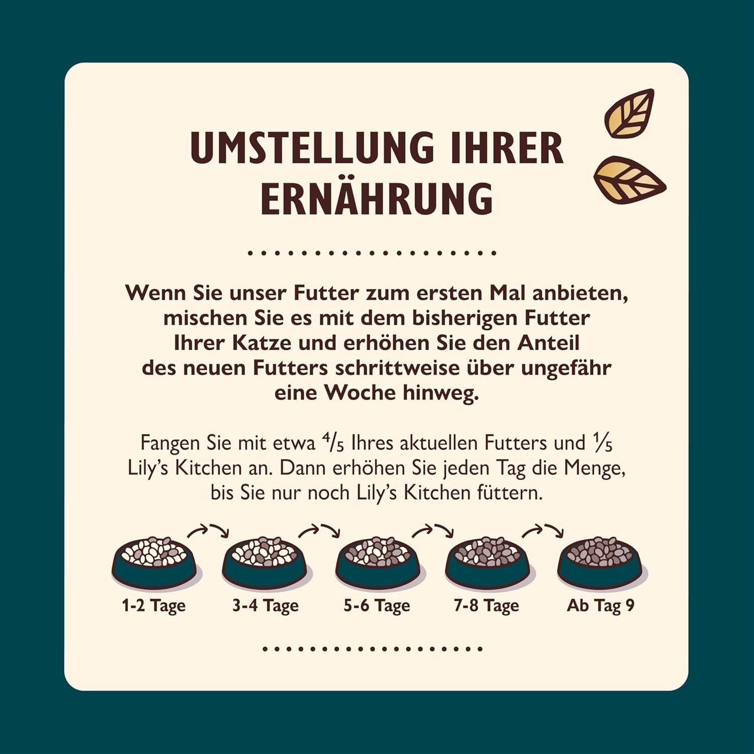 Hakkede fileter i bouillon med tun og laks, tilberedt med naturlige ingredienser, Lily's Kitchen, vådfoder til voksne katte, 70g æske