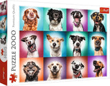 Trefl TR27119 Funny Dog Portraits II 2000 brikker, førsteklasses kvalitet, til voksne og børn fra 12 år Puslespil, farvet puslespil Naty Shop Standardtitel