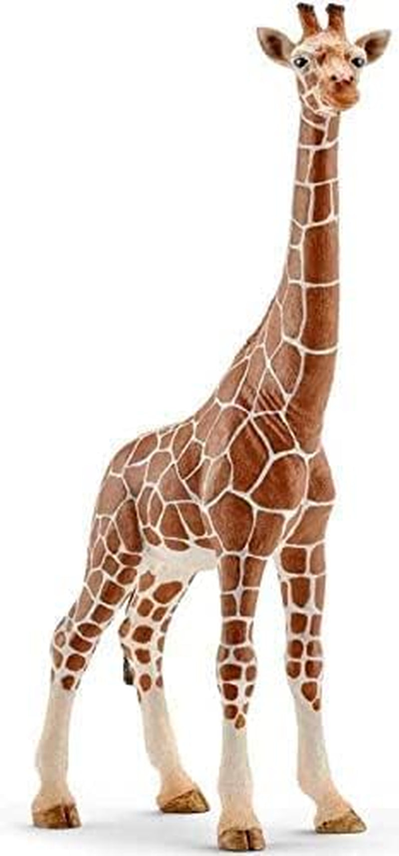 Schleich 15024 Pachycephalosaurus, til børn fra 5-12 år, DINOSAUURER - legefigur Actionfigurer Naty Shop