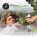 VITSTORM® Slim Tea Kardemomme – BIO Yerba Mate Tea – Detox og vanddrivende te – 100G