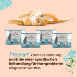Almo Nature Functional Urinary Help - Nassfutter für ausgewachsene Katzen mit Fisch - Unterstützung für die Gesundheit der Harnwege - 30 poser à 70g