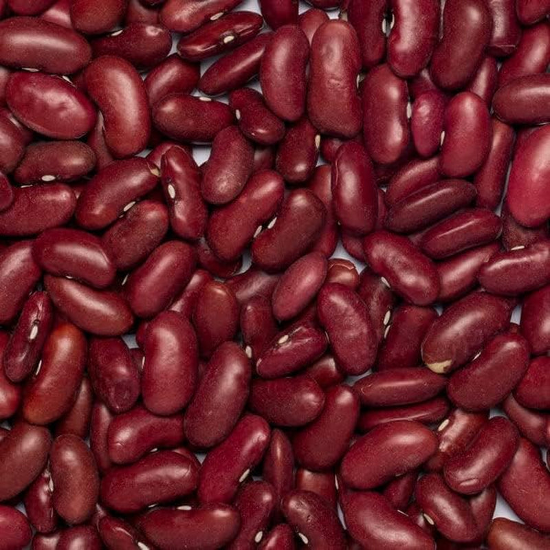 Røde bønner Wholefood Jord Økologisk 1kg Rå | Vegansk | Ikke-GMO | Mørkerød | Rig på fibre | Rig på protein | Certificeret økologisk