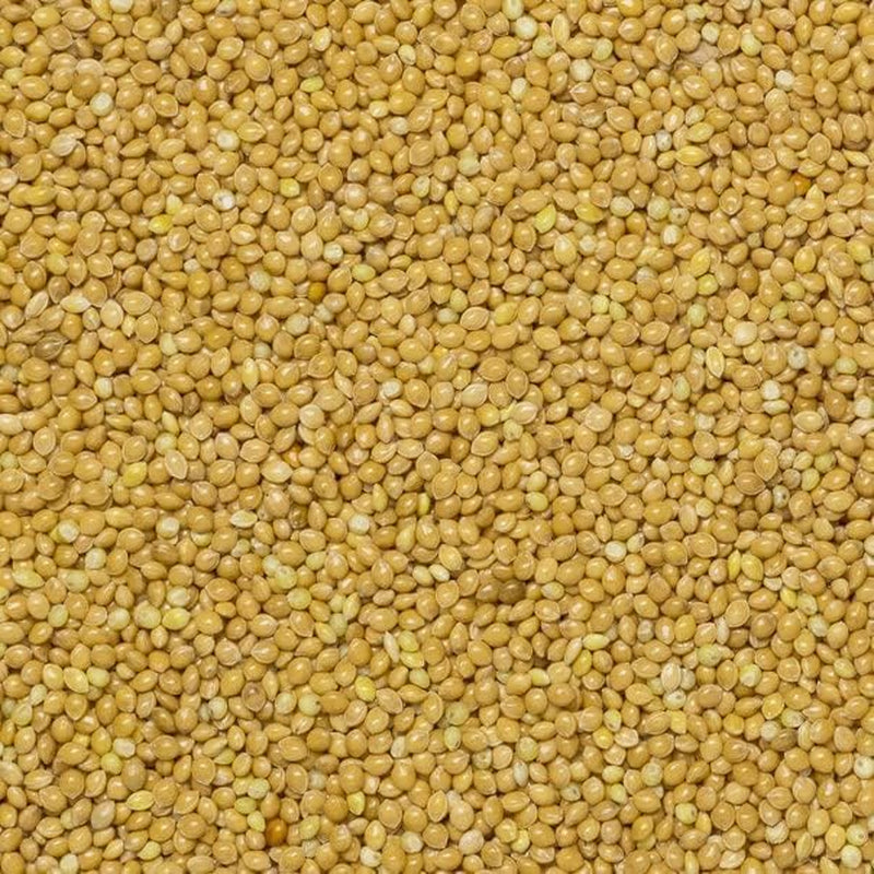 Jord fuldkornshirse - ikke-GMO - naturlig - vegansk - mælkefri - uden tilsat sukker - 1 kg