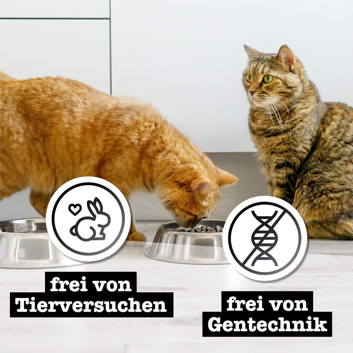 Våd kattefoder Catz Finefood Purrrr med monoprotein og laks nr. 105, til katte med følsom fordøjelse, 16 x 80 g
