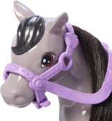 Barbie Chelsea og ponydukke og ponyer - Rid under leg for at sidde sikkert på hesten, lyserød sadel og stænger, inkluderer hjelm og sød plaidkjole, fra 3 år og opefter, HTK29 Naty Shop-dukker