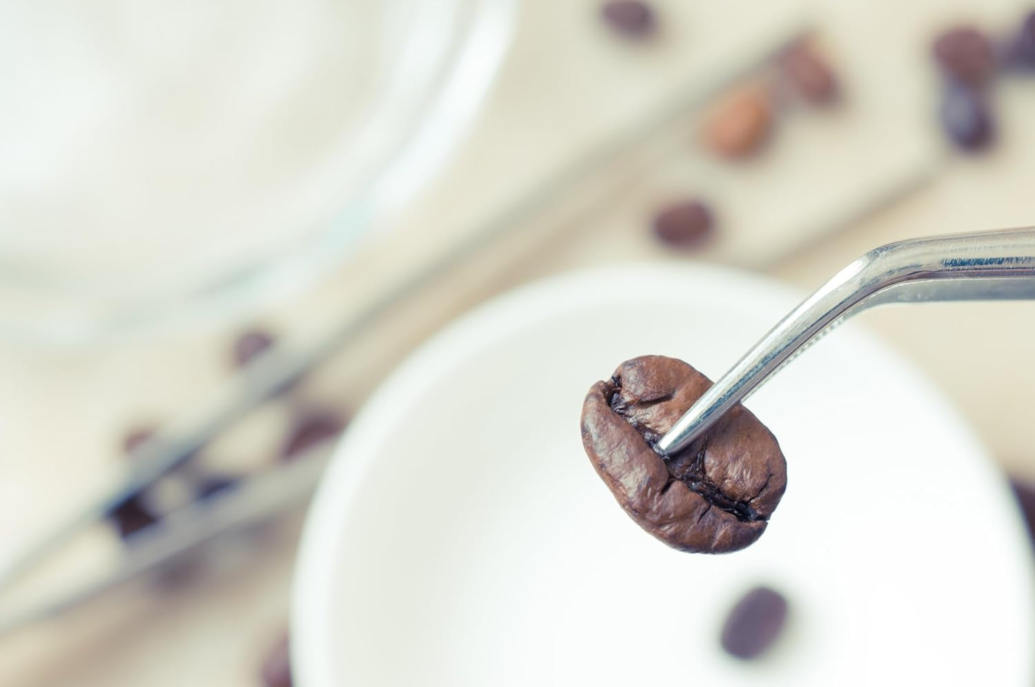 NIK CAFE' – Classico blend – ristede kaffebønner. Hans Excellence, den robuste. 100% robust