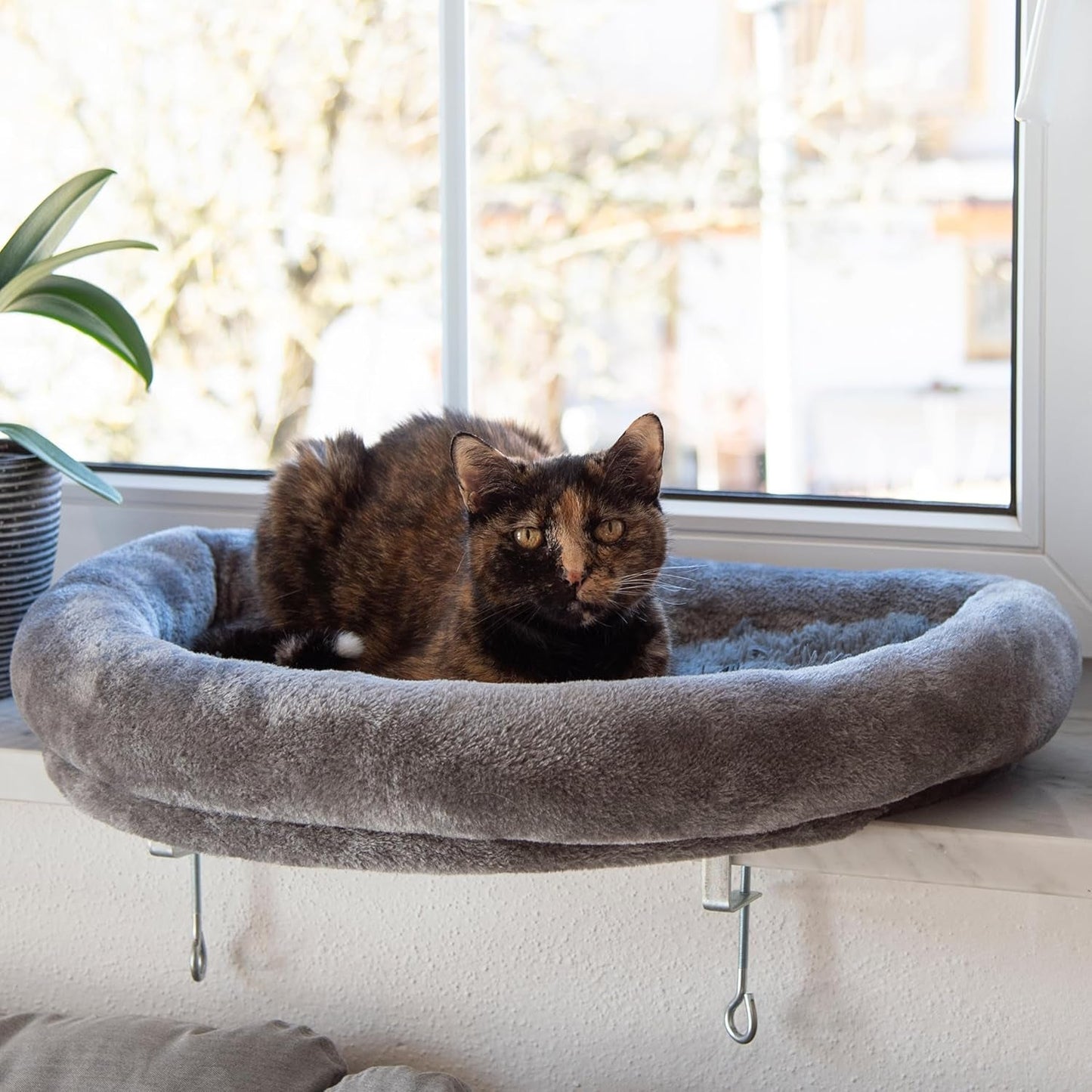 Tæpper og møbler, vinduessæder, kæledyr, katte, senge til katte, katte - senge, madrasser