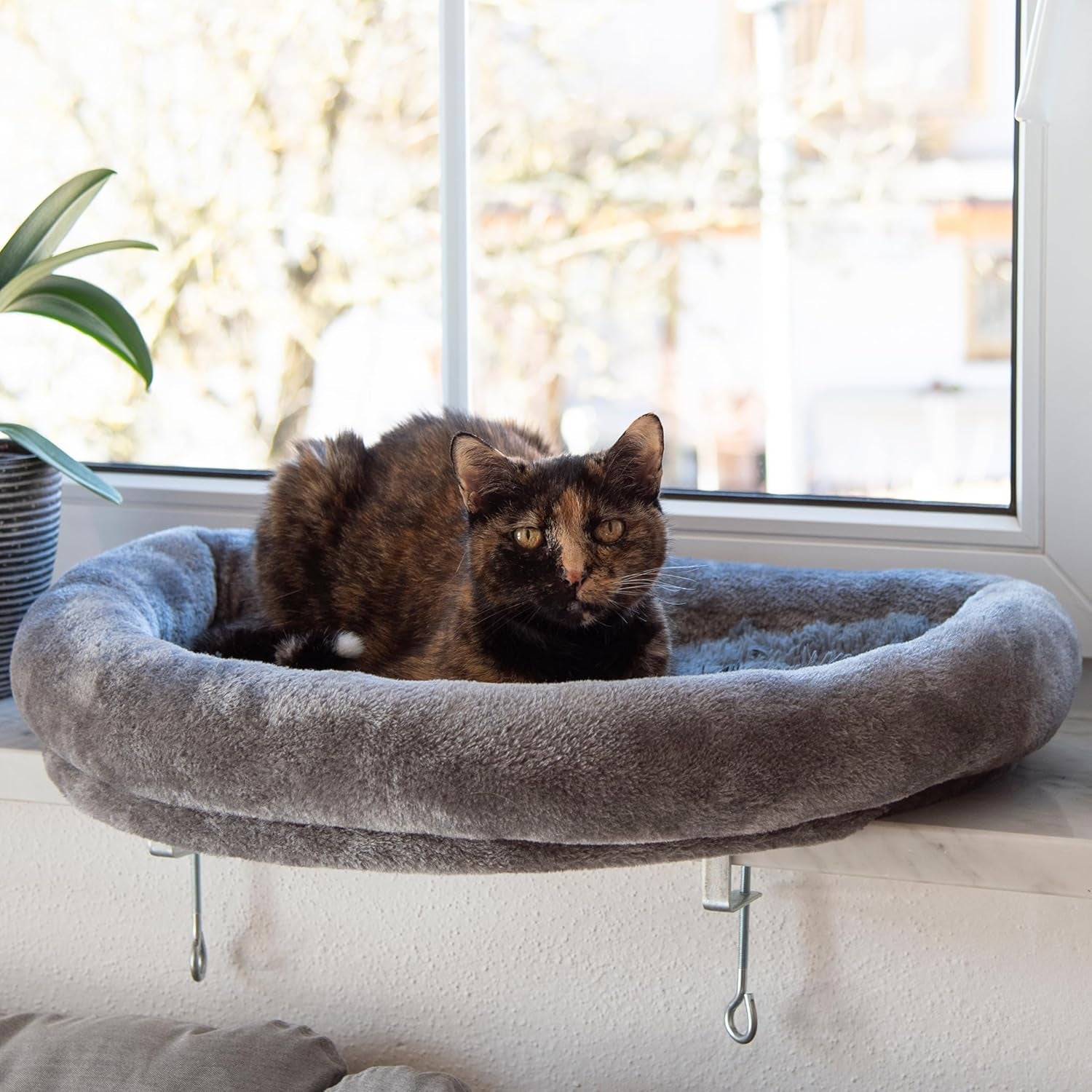 Tæpper og møbler, vinduessæder, kæledyr, katte, senge til katte, katte - senge, madrasser