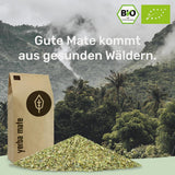 BIO Yerba Mate Te 1 kg ● Original ● Moden ● Uristet ● Lufttørret ● Røgfri ● Plastfri ● Fair Trade ● Mate te fra mateblade, matestykker og matebladpulver ● DE-ÖKO-006
