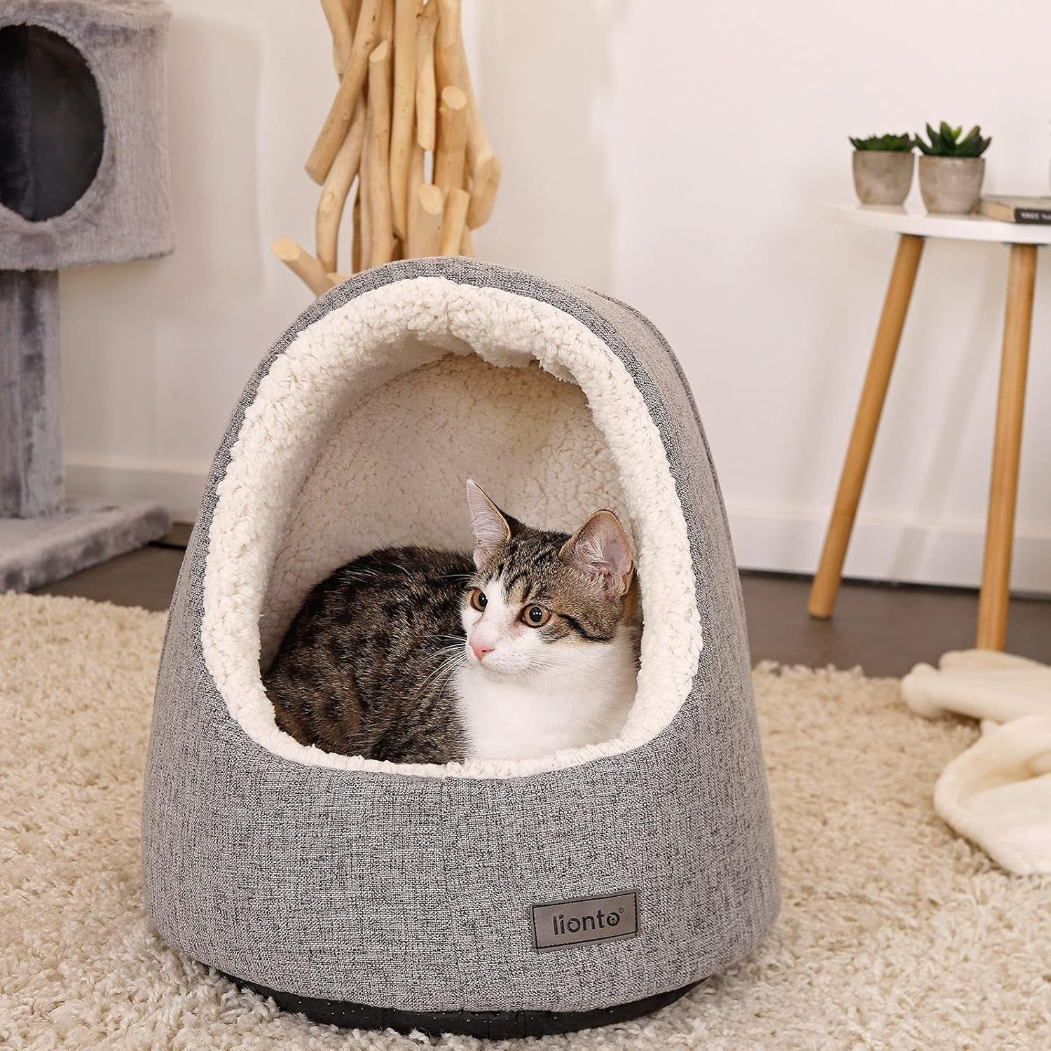 Tæpper og møbler, kæledyr, huler og huse, katte, senge til katte, katte - senge, madrasser