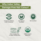 Indus Valley Natural Damage Free Gel Hårfarve | Ammoniakfri, vegansk og grusomhedsfri | Op til 100 % grå dækning, langtidsholdbare resultater | Lys kastanje 5.0 (20 gram + 200 ml) Naty Shop hårfarve