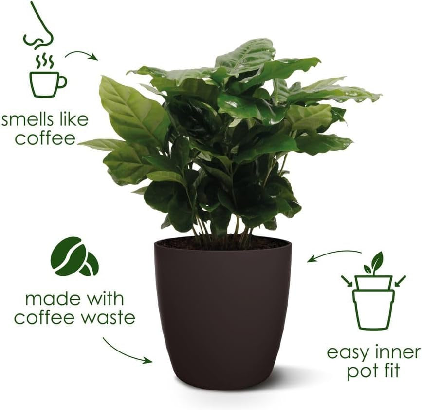 elho The Coffee Collection, rund indendørs kande, 18 cm, lavet af kaffegrums og genbrugsplastik - brun/espresso brun