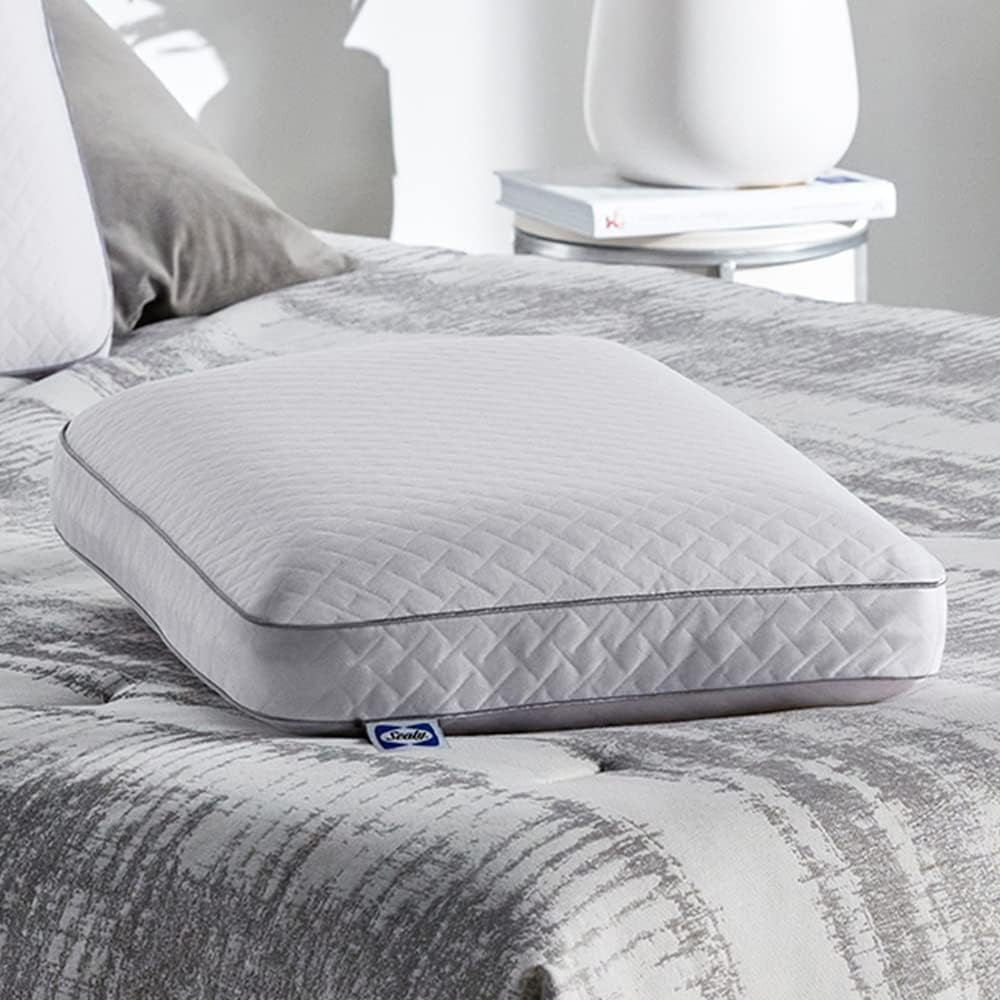 Sealy Essentials Memory Foam Pillow Standard White 2 Piece Naty Shop Standard Puder