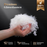 135X200 Helårsdyne 100% bomuld Gåsedunsdyne Tyktfyldt fjerdyne No Live Plys Ekstra Fluffy Overgangsdyne 3D Baffle Box Enkeltseng Hvide dyner & dyner Naty Shop