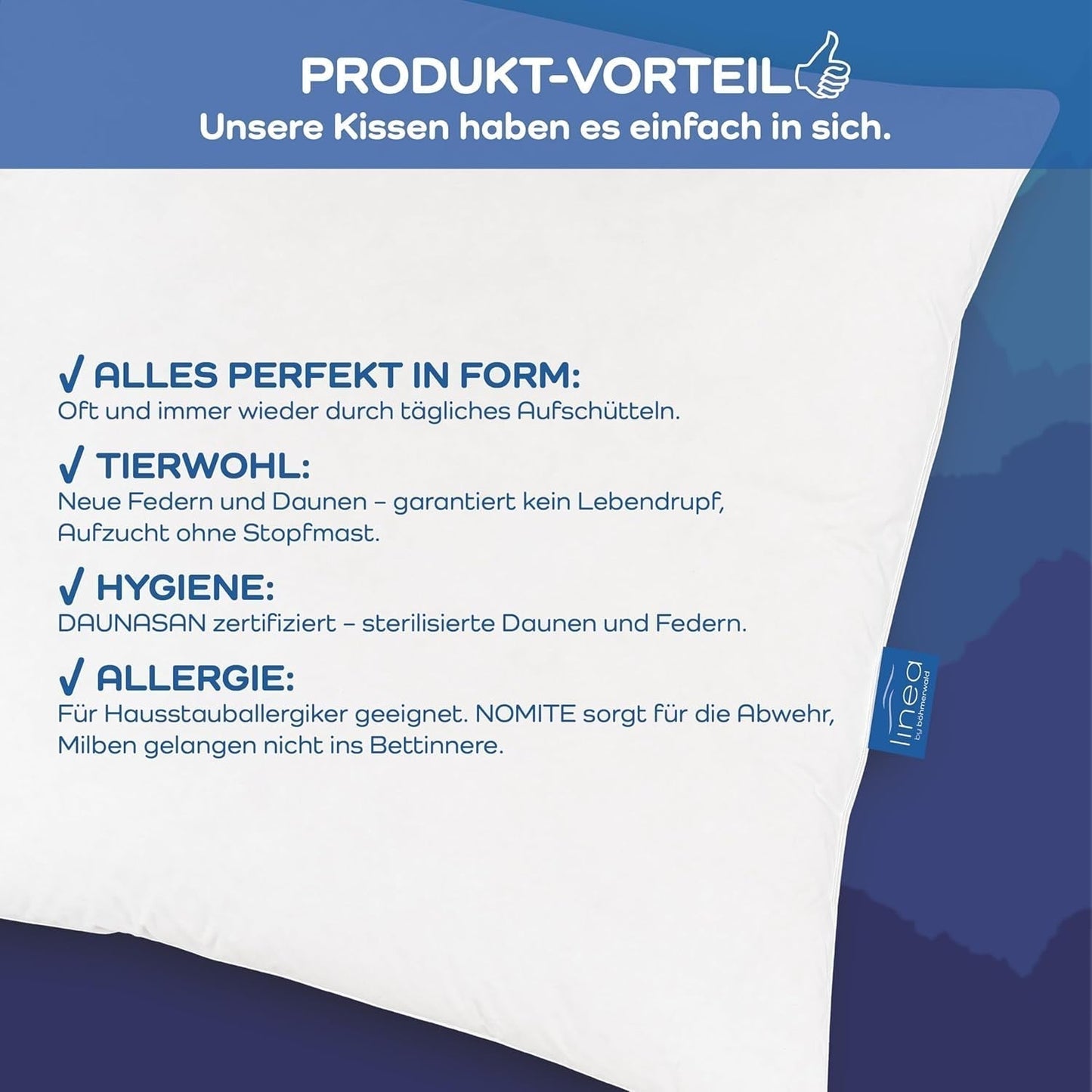 LINEA by Böhmerwald - Hyggelig - Højkvalitets balancepude, 80X80, 70% klasse 1 fjer, 30% ny dun, velegnet til allergi, vaskbar op til 60°C, fremstillet i Tyskland Naty Shop standard puder