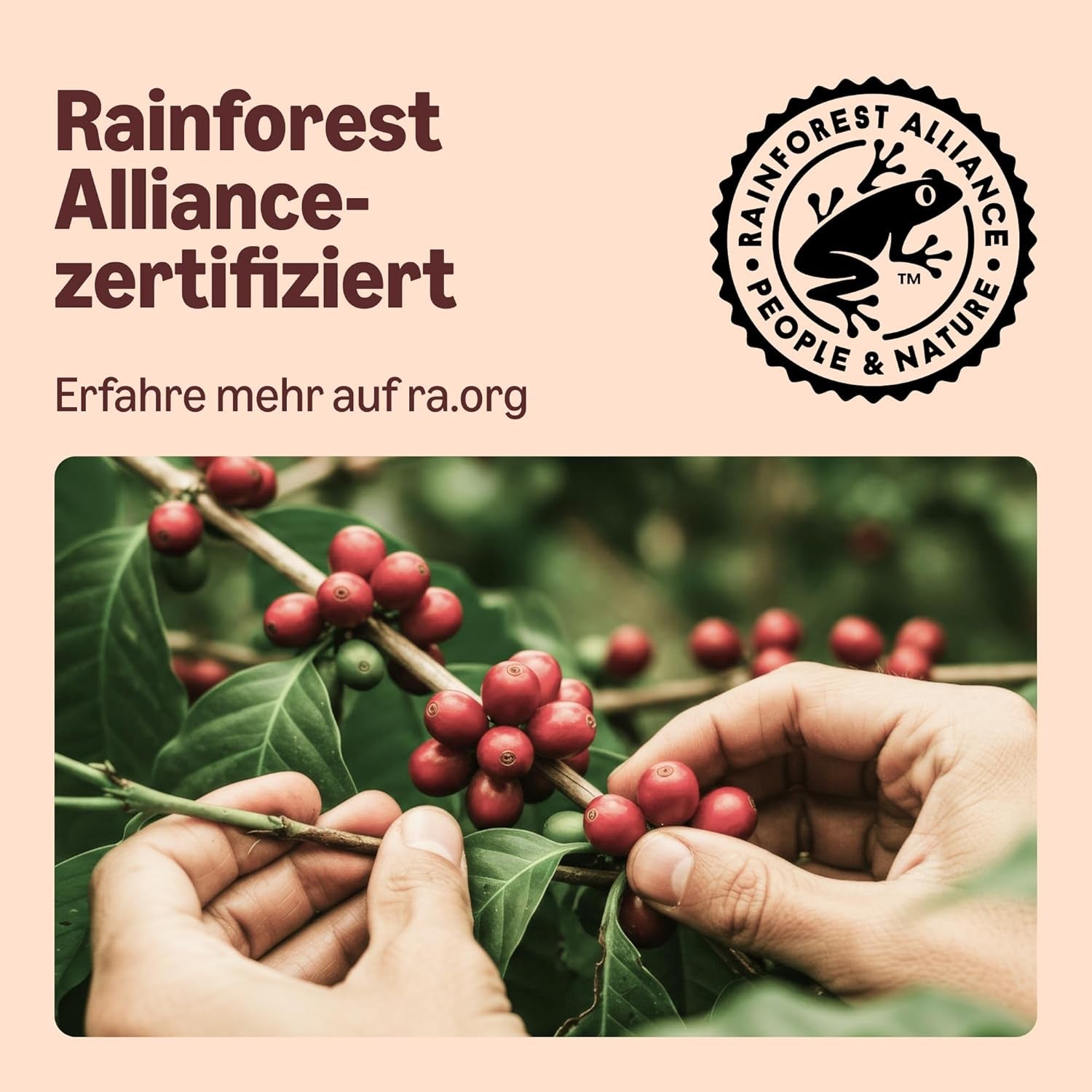 af Amazon Cafe au Lait Dolce Gusto-kompatibel Kaffeekapseln, 48 Kapseln (3 Packungen mit je 16 Stück)