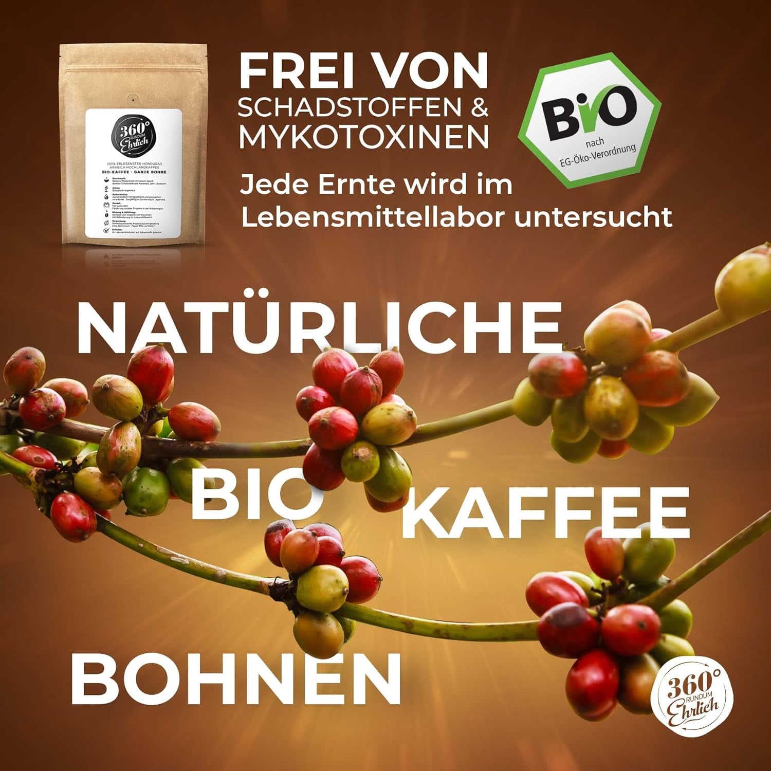 Premium Bio Kaffeebohnen 1000g, 100% Honduras Hochland Arabica Kaffeebohnen Bio - Köstlich, mild, sikker - Bio Kaffee ganze Bohnen - Ideel som Kaffeebohnen Vollaautomat - 360° Rundum Ehrlich