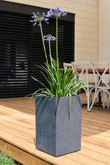 Basalt Up urtepotte, Firkantet, Høj, 36 L, Betonlook, Plain Wall, Vandtank, 29,5 x 29,5 x 49,5 cm, Antracitgrå
