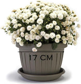 Lille gryde med tallerken - 17 cm gryde med tallerken | Praktisk og let design | Perfekt til planter, stiklinger eller tidlige skud 17 cm