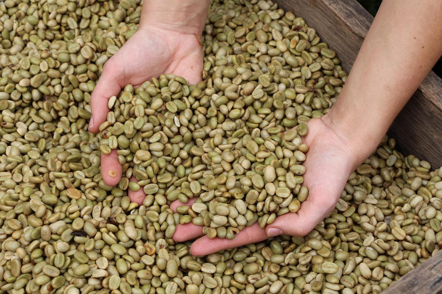 | Prøvepakke kaffebønner 1 kg | Supreme 500g og Gourmet Arabica 500g | Lav surhedsgrad | Fin creme | Den bedste espresso til fuldautomatiske maskiner | Kaffesmagningssæt